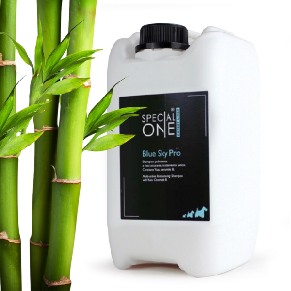 Blue Sky Pro Bambù contiene estratto del midollo di bambù, ottimo ristrutturante per il manto sfibrato, ha proprietà sebo normalizzanti, riequilibranti e nutritive; olio di Timo per una spiccata azione deodorante; Tea Tree Oil per conferire una perfetta pulizia alla pelle. Estratto dei frutti della palma della Florida per riparare la struttura del pelo dalle anomalie e conferire un eccellente aspetto al mantello del cane.